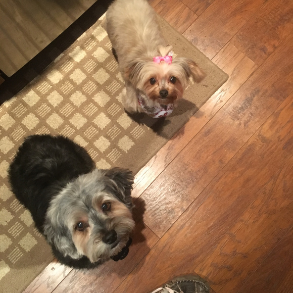 Meet your Posher, Jeanne - Picture 8 of 8